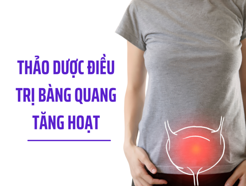 Chữa khỏi bàng quang tăng hoạt nhờ sản phẩm thảo dược                           